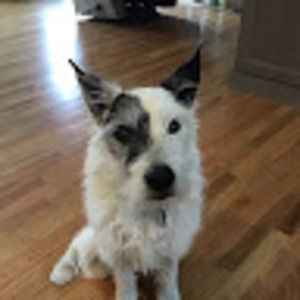 Meet your Posher, Maureen